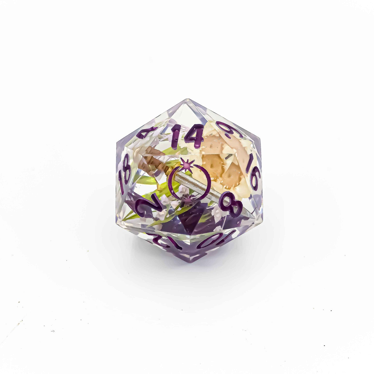 Soldier's Garden D20